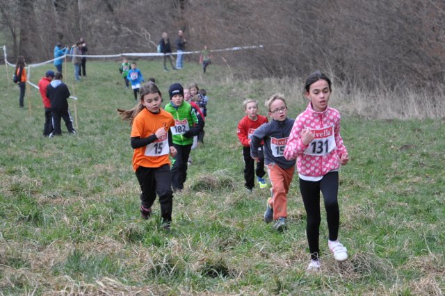 Cross 2016
